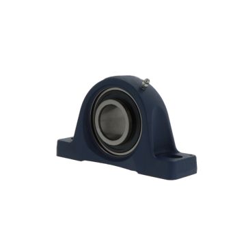 UCP313